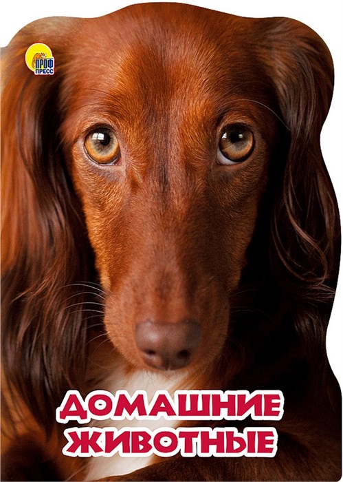 КНИГА МИР ЖИВОТНЫХ. 10*275мм ДОМАШНИЕ ЖИВОТНЫЕ, 25458-3 978-5-378-25458-3 - фото 27156