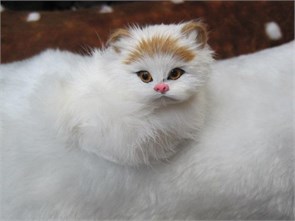 Животное Кошка натур.мех. в ассортименте в пакете  9*8*5, Кр503 Кр503