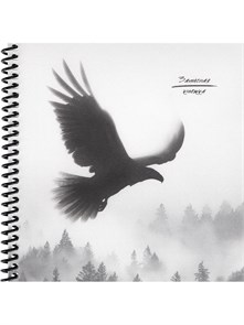 Записная книжка 158х158, 48л. ПТИЦА В ТУМАНЕ спираль, 48-6902 48-6902