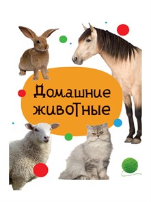 Книга 110x150x6мм ДОМАШНИЕ ЖИВОТНЫЕ, 978-5-378-34830-5 978-5-378-34830-5
