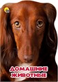 КНИГА МИР ЖИВОТНЫХ. 10*275мм ДОМАШНИЕ ЖИВОТНЫЕ, 25458-3 978-5-378-25458-3 - фото 27156